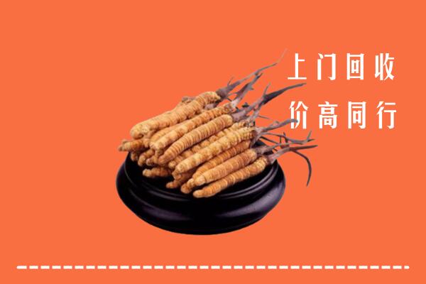 高价求购：临沂沂水县回收散虫草