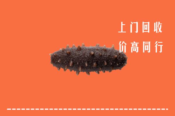 高价求购：临沂沂水县回收海参